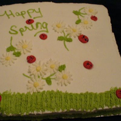 Cake I Made For The Spring Thing At Work