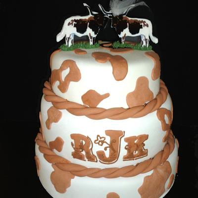 Longhorn Wedding Shower Cake