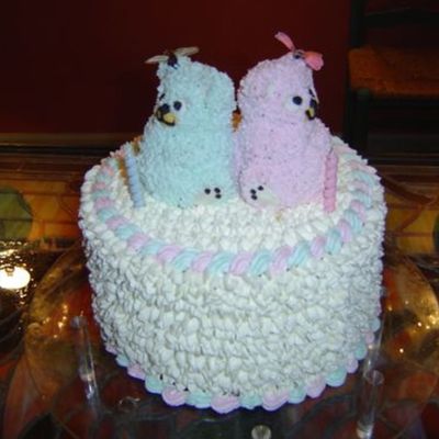 Twin's Birthday Cake To Resemble Invitation