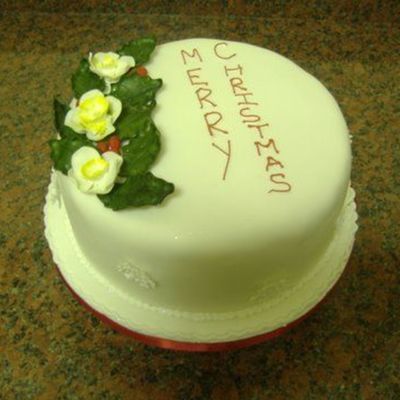 Christmas Roses & Holly