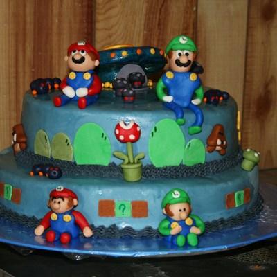 Super Mario Bros Partners In Time