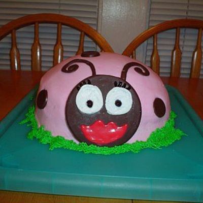 Ladybug Cake