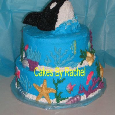 Orca Whale Cake
