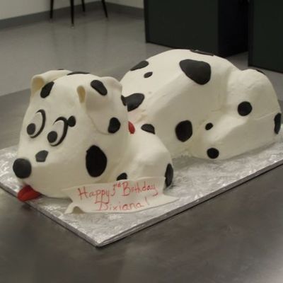 Dalmation