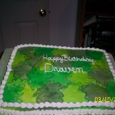 My Version Of Camo Cake