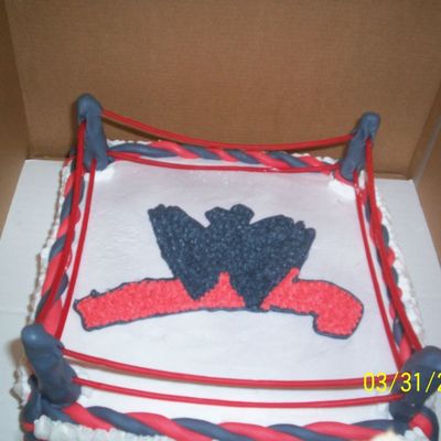 Wrestling Cake