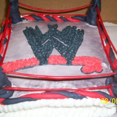 Wrestling Cake