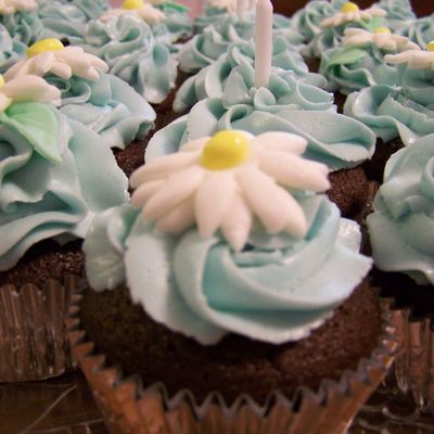 Daisy Cupcakes