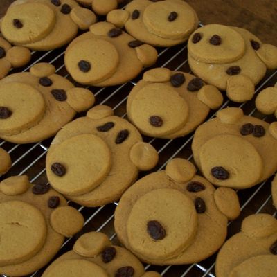 Gingerbread Bear Cookies