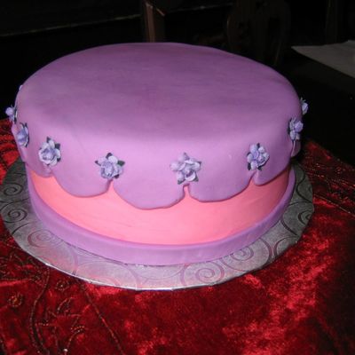 Purple And Pink Scallop