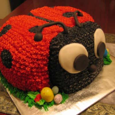 Red Ladybug