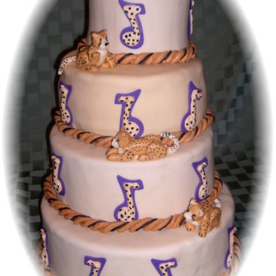 Cheetah Girls Cake