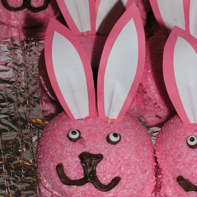 Bunny Cupcakes