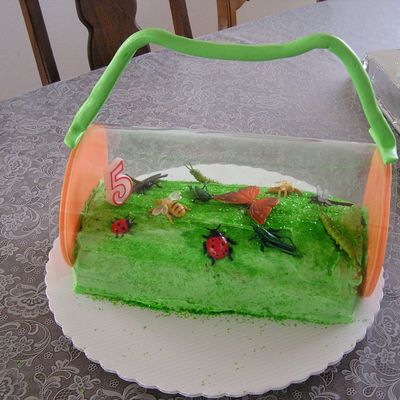 Bug Catcher Cake