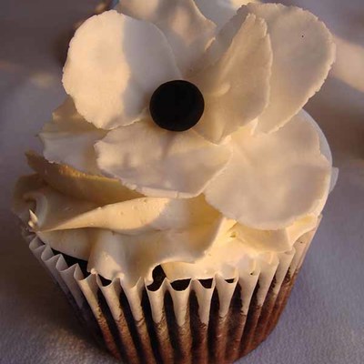 Anemone Cupcake