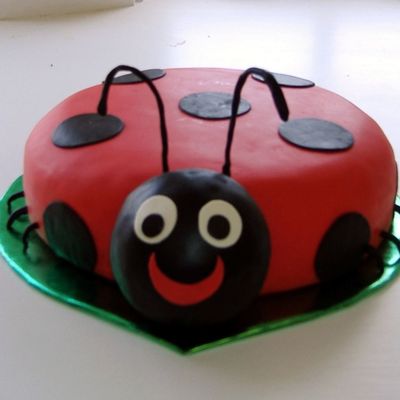 Lady Bug