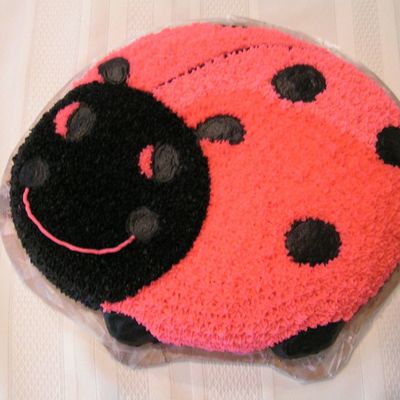 Wilton Course 1 Lesson 2 Pink Ladybug Cake