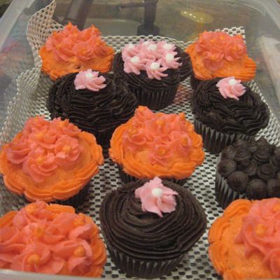 Wilton Course 1 Lesson 3 Cupcakes