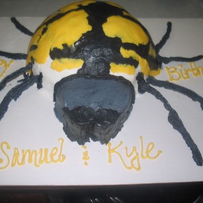 Spider Cake