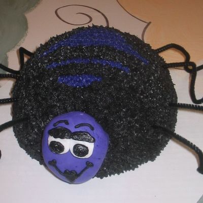 Spider