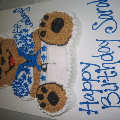 Dlaas Cowboy Cheerleader Bear