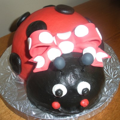 Small Ladybug
