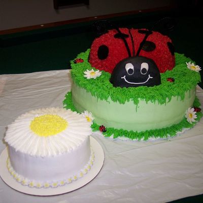 Ladybug And Daisy Smash Cake