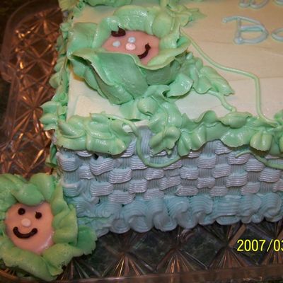 Cabbage Babies Corner