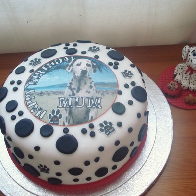 Dalmation Cake