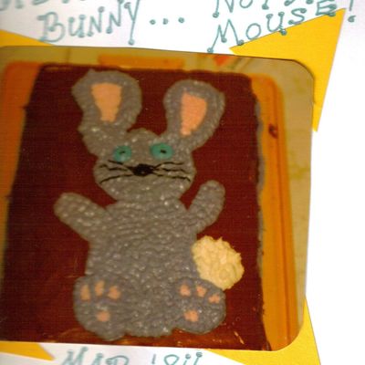 Bunny, Not Mouse!