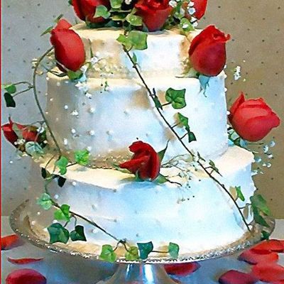 Roses And Ivy