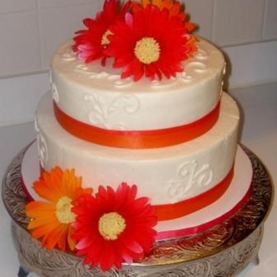 Pink And Orange Daisies