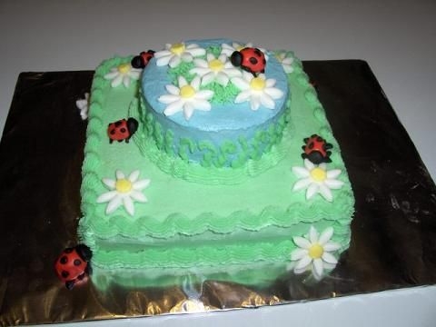 Ladybug Cake
