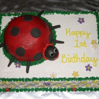 Lady Bug