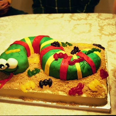 Bugs And Snakes