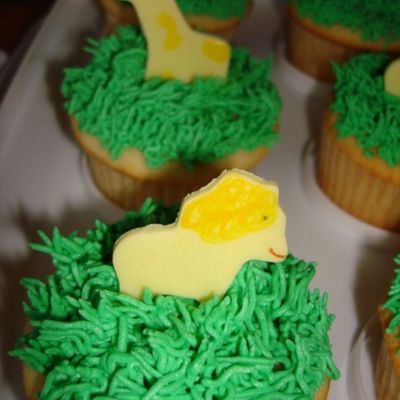 Animal Cupcakes