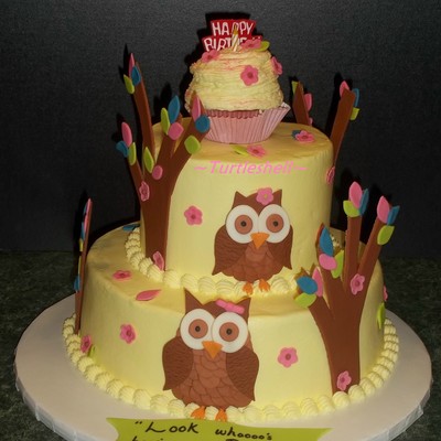 Owl Baby Shower