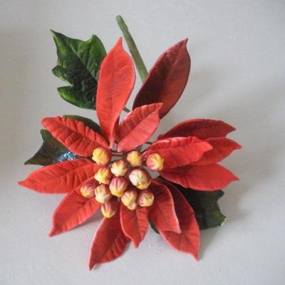Poinsettia