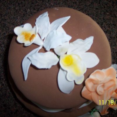 Biscocho En Pata Laminada De Chocolate