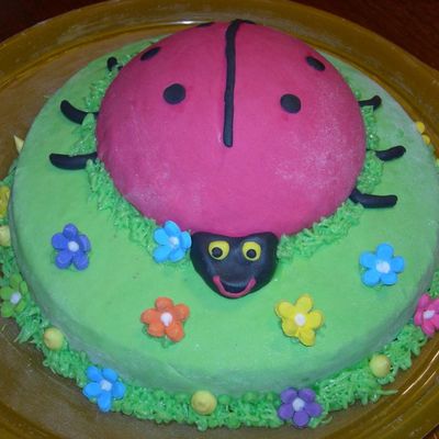 Natali&acirc;&acute;s Ladybug Cake