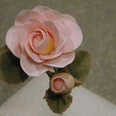 Pink Rose