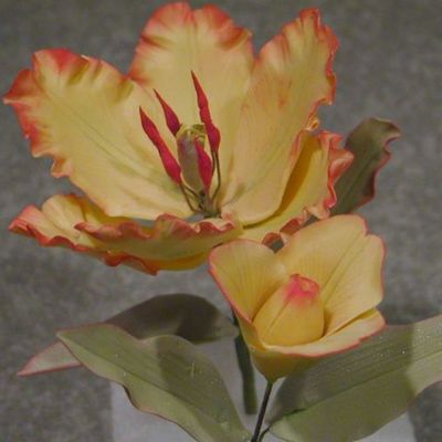 Yellow Tulip And Bud