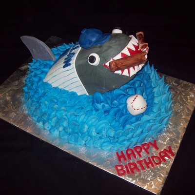 Baseball/camden Riversharks