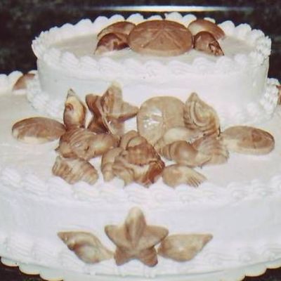 Chocolate Sea Shells