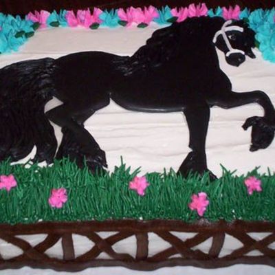 Black Stallion Birthday Cake