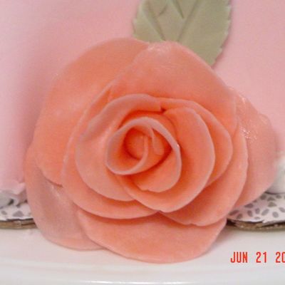 Co Worker Birthday Starburst Roses