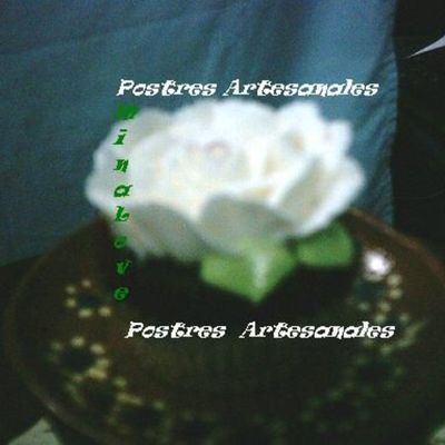 Cupcakes Rose White