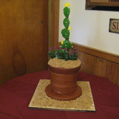 Cactus Pot Cake