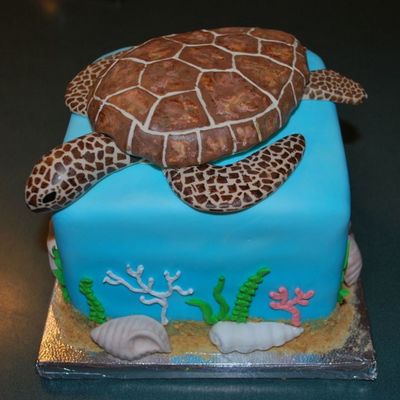 Sea Turtle Birthday Cake