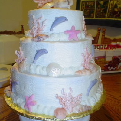 Dolphins And Seashells